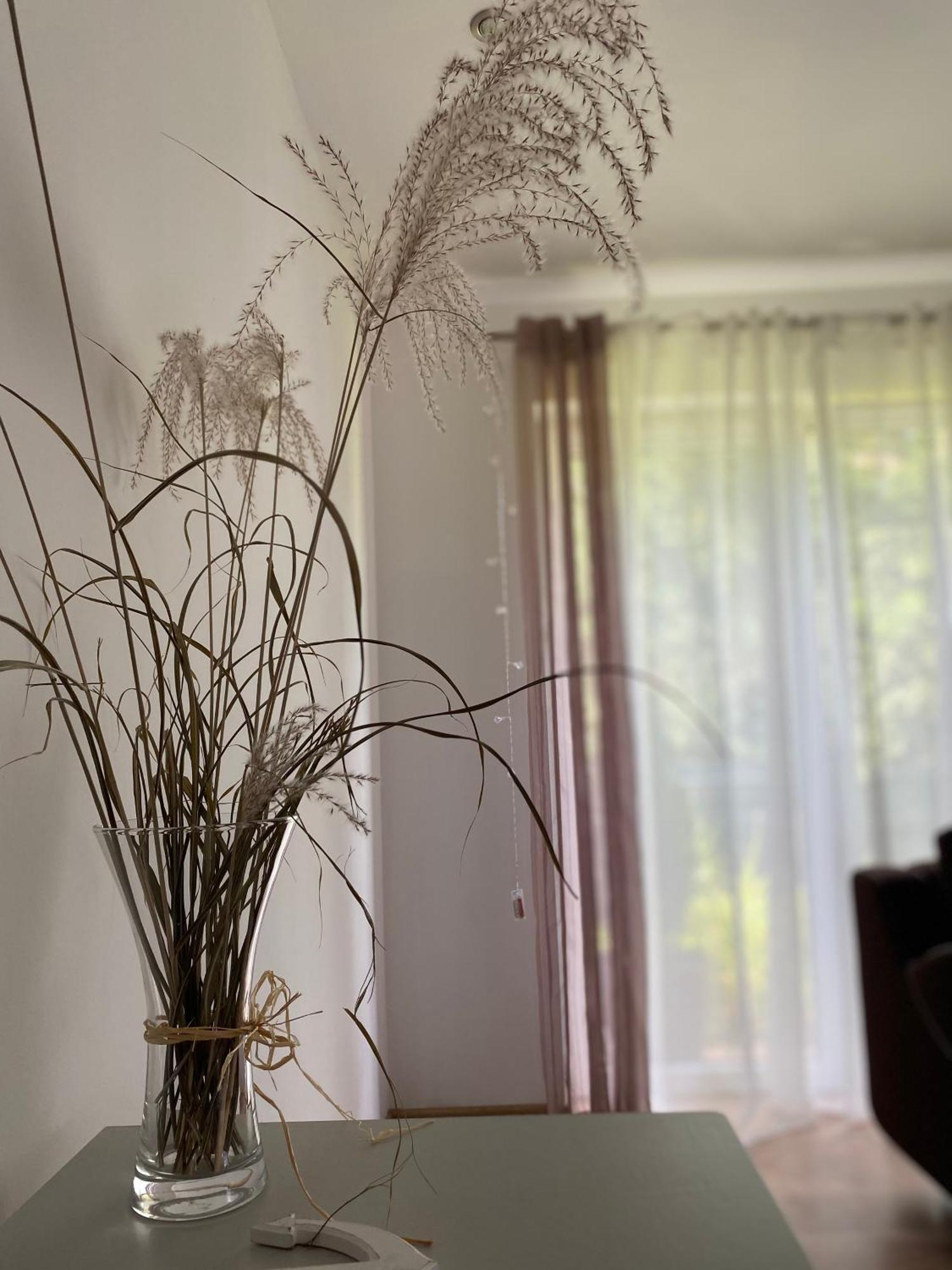 Borkowka Villa Choczewo Kültér fotó